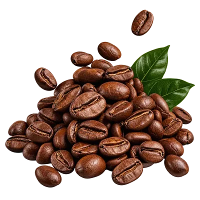 خرید قهوه عمده | جهان رست